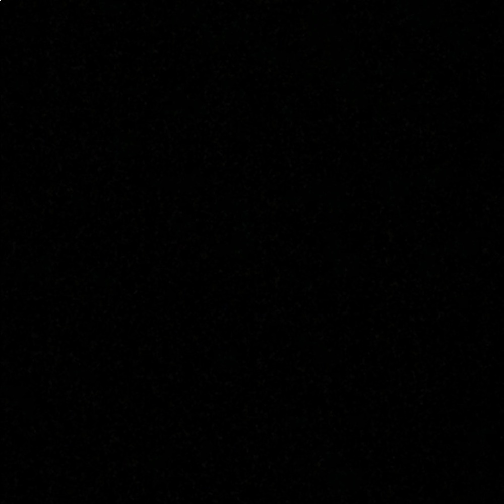 Meet your Posher, Riley